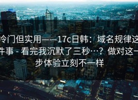 冷门但实用——17c日韩：域名规律这件事 - 看完我沉默了三秒…？做对这一步体验立刻不一样