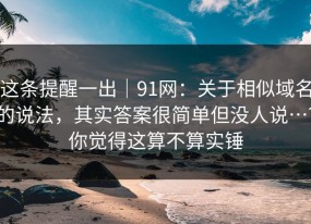 这条提醒一出｜91网：关于相似域名的说法，其实答案很简单但没人说…？你觉得这算不算实锤